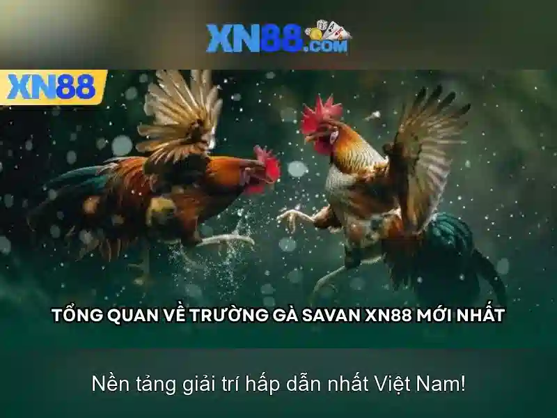 💎kèo nhà cái vòng loại world cup - châu á💎