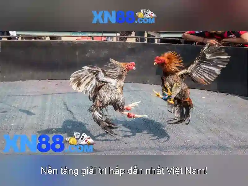 💎lucky fortune slot game💎