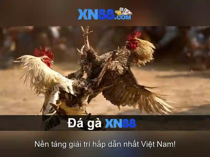 💎nha cai uy tin 86.com💎