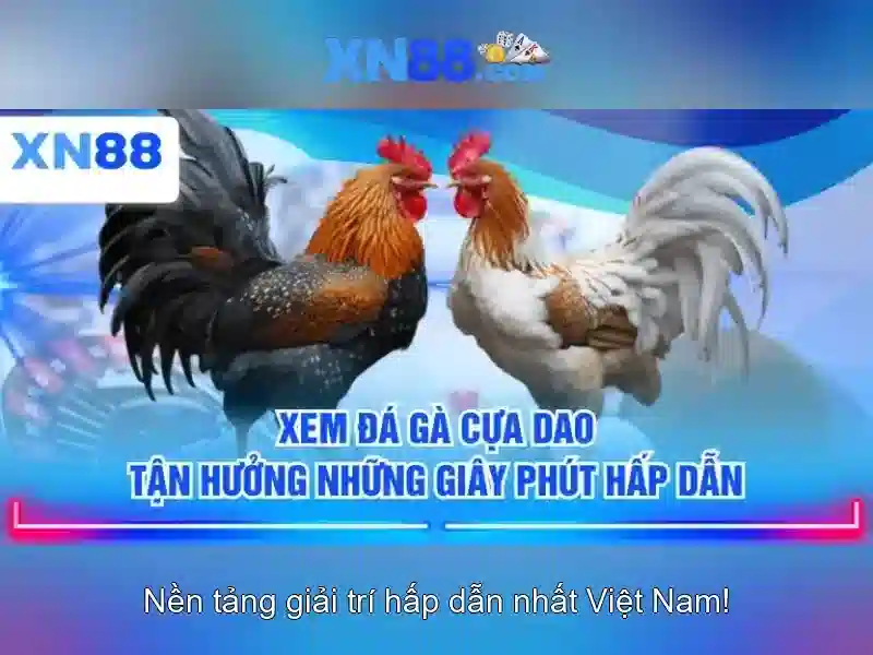💎nhà cái sovip💎