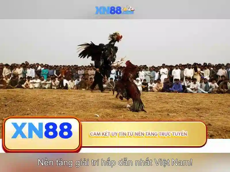 💎nha cai uy tin789💎