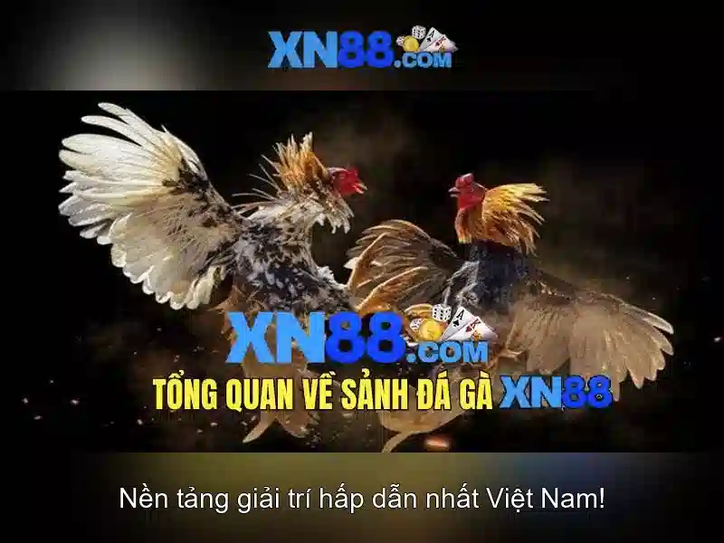 💎korea slot💎