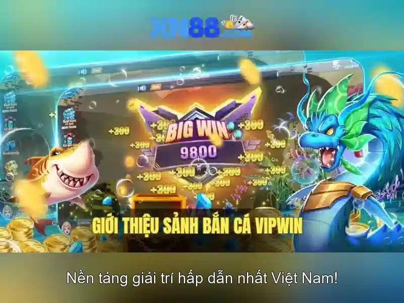  người chơi - XN88