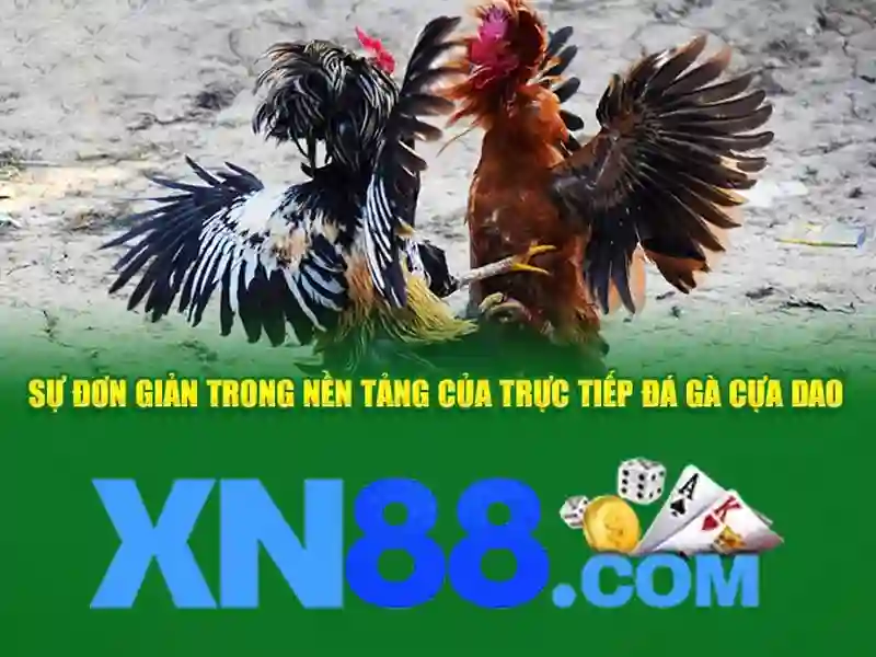 💎gk888 nhà cái💎